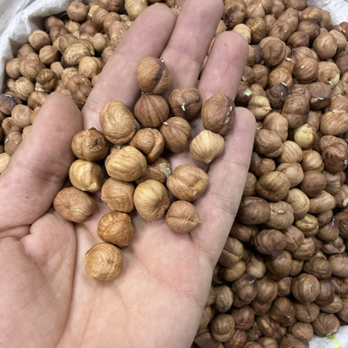 مغز فندق سفید ایرانی