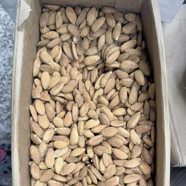 بادام درختی