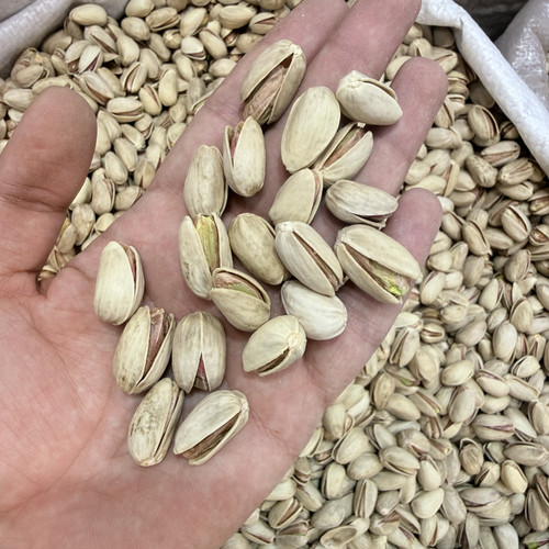 پسته اکبری دستچین