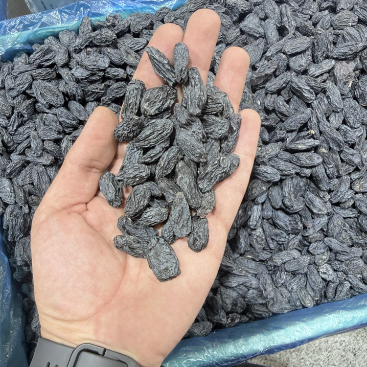 مویز ازبک بدون هسته درشت